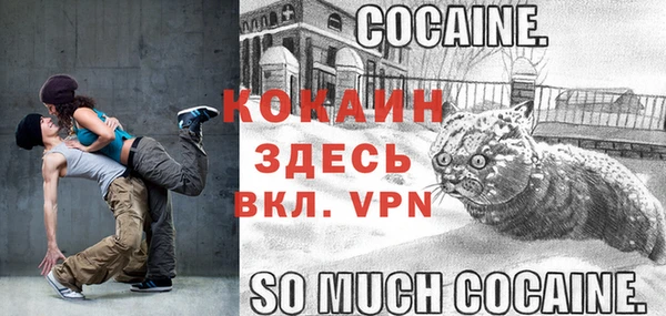 mdpv Бородино