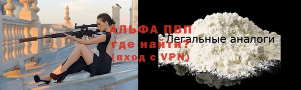 прущие грибы Вязьма