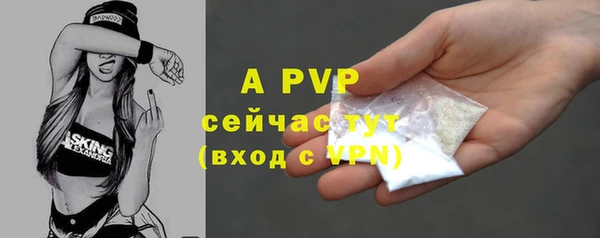 молекула духа Волоколамск